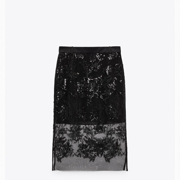 Zara Embroidered Tulle Top and Skirt Set - size M - Picture 3 of 7